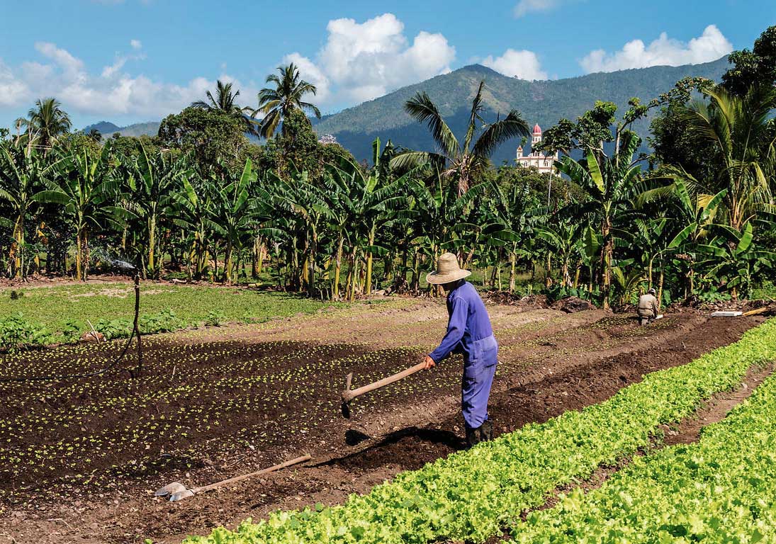 Cuba: socialism, science and agriculture